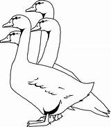 Funny Goose Coloring Page  Free Printable Pages For Kids sketch template