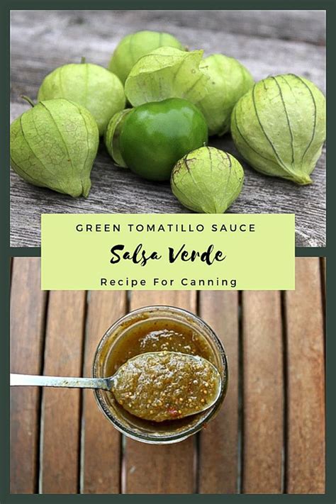 Canning Salsa Verde (Tomatillo Sauce) — Practical Self Reliance