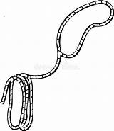 Cowboy Lasso Illustration sketch template