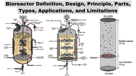 Bioreactors | Design, Principle, Parts, Types, Applications ...