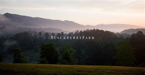 Blackberry Farm | Winter Experiences