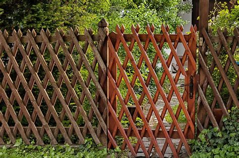 25 Awesome Garden Trellis Ideas | Trees.com