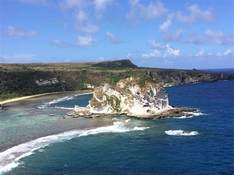 Saving Birds in the Northern Marianas Islands | Aquarium Blog | Aquarium of the Pacific