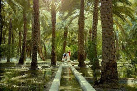 This ancient Arab irrigation system invented before Rome's aqueduct ...