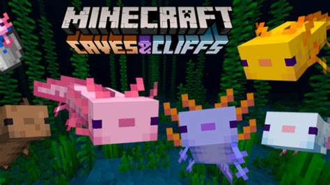 Minecraft Axolotl Cut Out