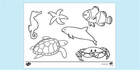 Baby Sea Animals Colouring Page - EYLF - Parents - Twinkl