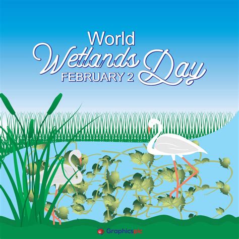 World Wetlands Day 2 February| Stock Photos, Graphics, Vectors ...