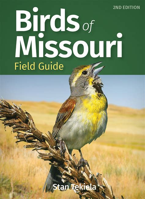 Missouri Bird Identification