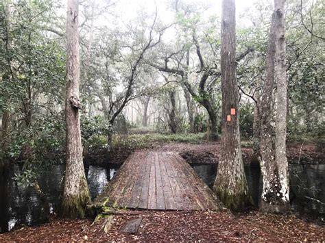 Lake Louisa State Park: 7 reasons to explore lovely wild spot