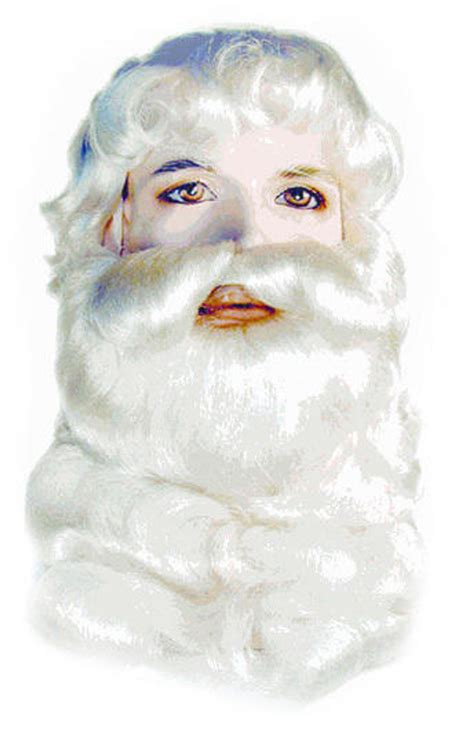 Santa Claus Wig and Beard - City Costume Wigs