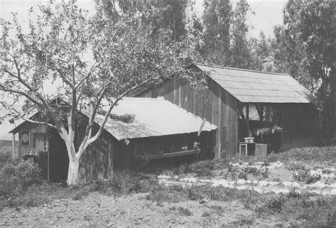 Castro Valley History Series: The Castro Valley Library - Castro Valley Today