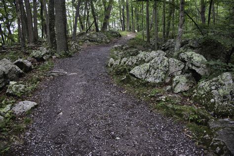 Seneca Rocks - The Hoppy Hikers