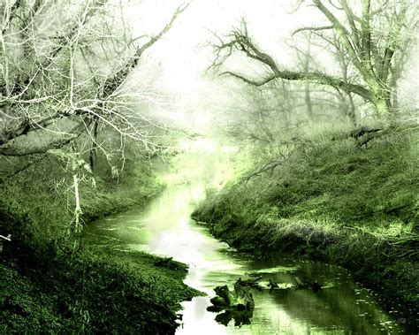 Black and White Wallpapers: River in Forest Wallpaper