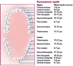 Canadian Dental Association