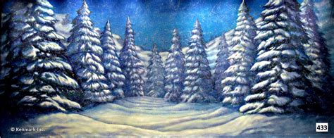 Snow Forest Scenic Backdrop by Kenmark Backdrops