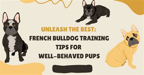 Unleash the Best: French Bulldog Training Tips for Well-Behaved Pups - All Our Creatures