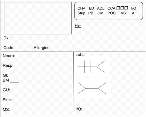 Tracking stats with fish bones: How a nursing shorthand for lab values ...