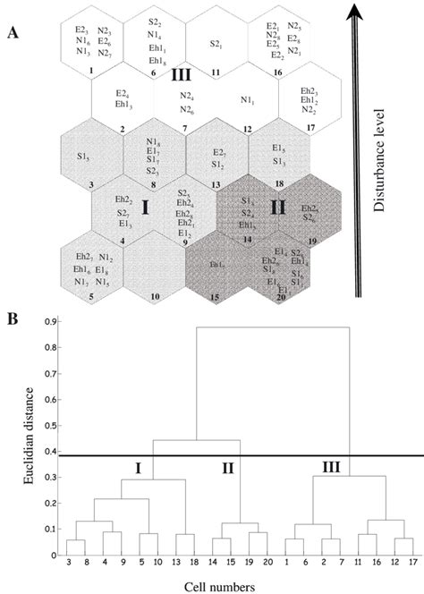 A) Samples classification according to Diptera, Ephemeroptera ...