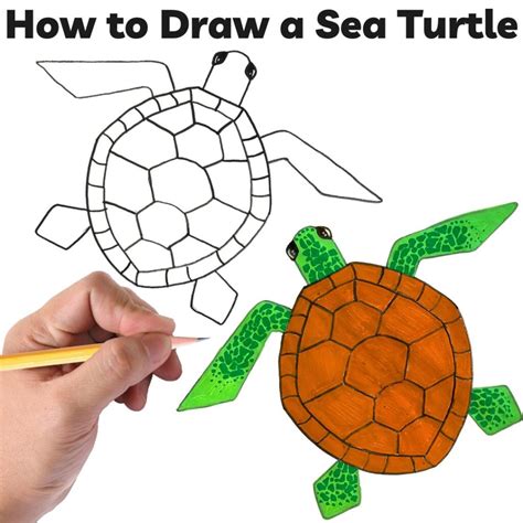 How To Draw A Simple Sea Turtle