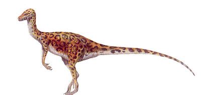 Rare Resources: Coelurus - The Breast Footed Dinosaur