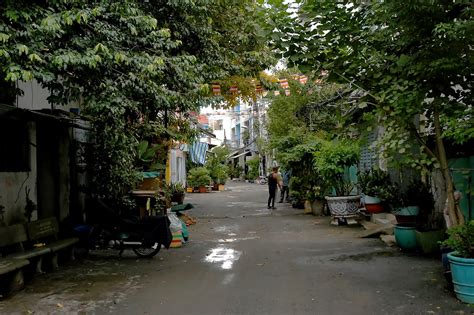 Urban nature. Binh Tan District, Ho Chi Minh City. | Out to Lunch | Flickr