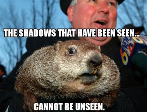 10 Groundhog Day Memes That Celebrate The Ridiculousness Of This Tradition