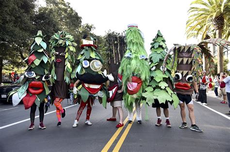 Retired Stanford Trees have found a home in Green Library | Stanford News