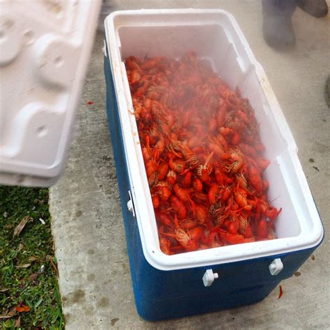 Mudbug Love: A Southern Louisiana Crawfish Boil Recipe | Ever In Transit