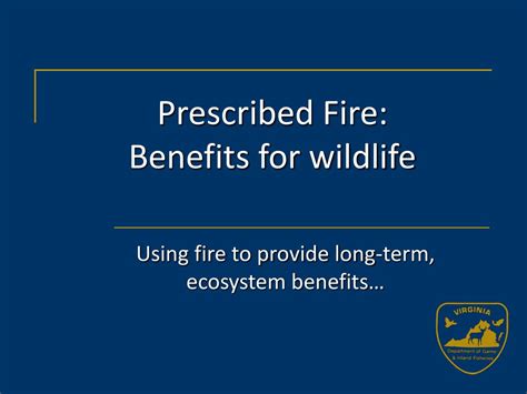 PPT - Prescribed Fire: Benefits for wildlife PowerPoint Presentation ...