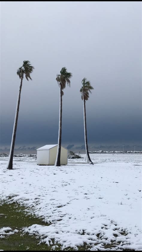 Let it snow! Winter wonderland arrives in Houston - ABC13 Houston