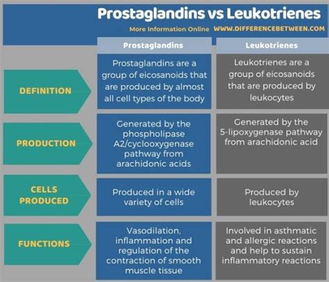 Explain the Difference Between Prostaglandins and Hormones - MariakruwRodriguez