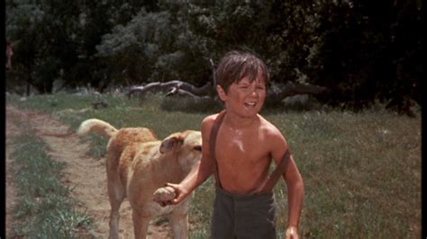 Kevin Corcoran as Arliss Coates in Old Yeller - Old Yeller Photo (38547065) - Fanpop