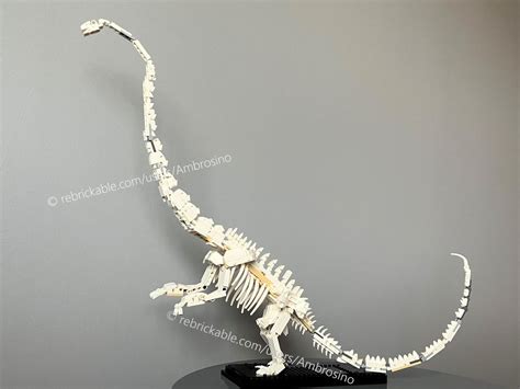 LEGO MOC 21320: Barosaurus skeleton by Ambrosino | Rebrickable - Build with LEGO