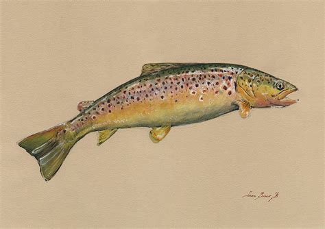 Print-brown Trout Fish Watercolor Painting Print Game - Etsy