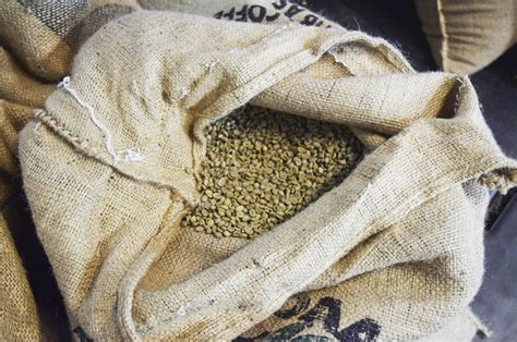 Fair Trade Coffee & How it Differs From Direct Trade? | Burman Coffee