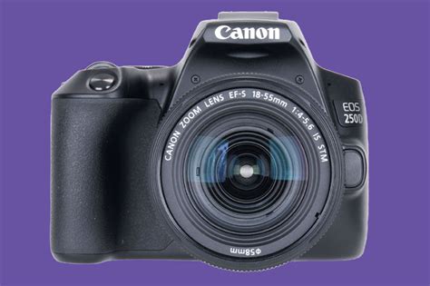 Canon EOS 250D / Rebel SL3 Review – a DSLR with charm | Amateur ...