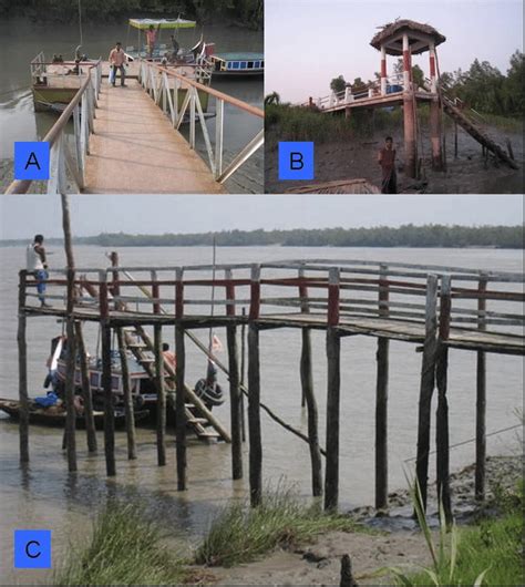 Jetty types, where A = pontoon, B = RCC, and C = wooden. | Download Scientific Diagram