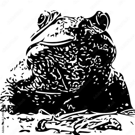 Black and white illustration of a sitting frog front view. Stock Vector | Adobe Stock