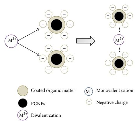 Schematic diagrams for the mechanism of monovalent cations (a) and ...