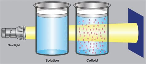 What Are Colloids? | ChemTalk - Being Teaching 2024