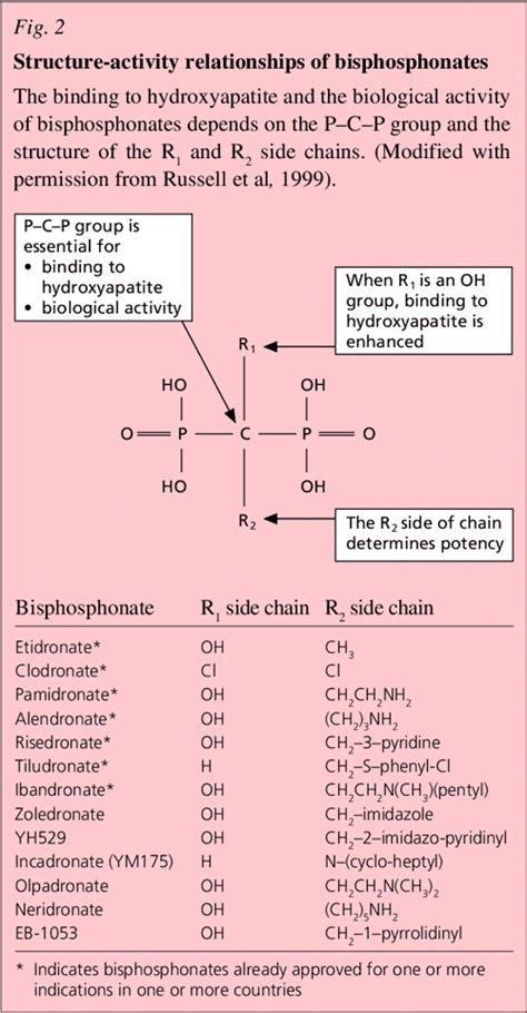 Figure 2 from Bisphosphonates - mechanisms of action | Semantic Scholar