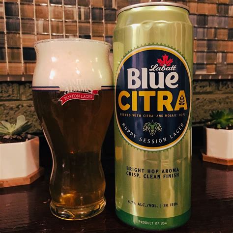 A Crafty Look: Beer Blog: Labatt Blue Citra