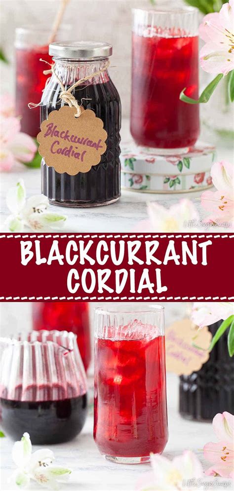 Blackcurrant Cordial with (Optional) Vanilla - Little Sugar Snaps