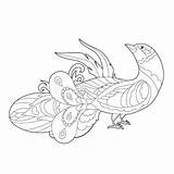 Dancing Peacock Colouring Pages sketch template