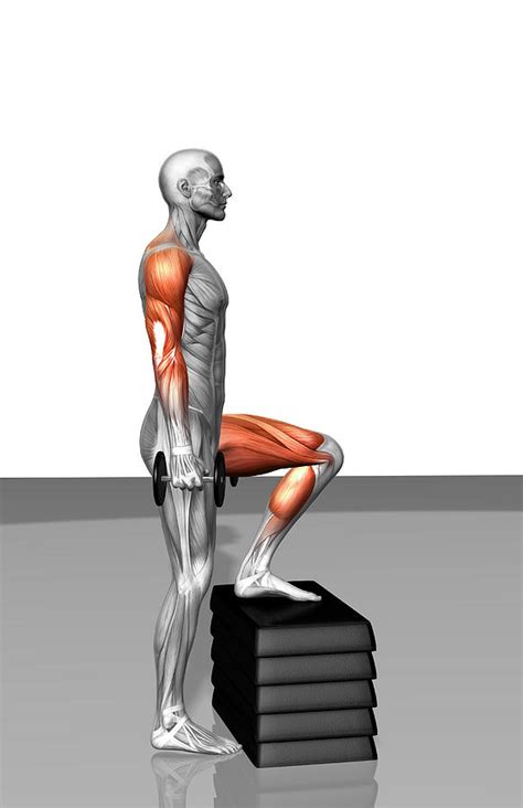 Lateral Step-Up Guide: How To, Benefits, Muscles Worked, Variations ...