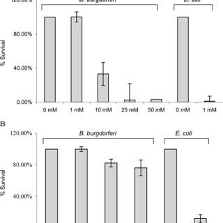 Treatment of B. burgdorferi cells with lipoxidase causes membrane ...