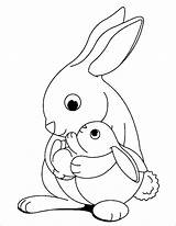 Rabbit Coloring Pages  ColoringBay sketch template