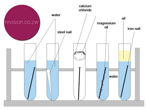 Experiment: Investigating the rusting of iron - Free ZIMSEC & Cambridge Revision Notes