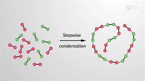 Step-Growth Polymerization: Overview | Organic Chemistry | JoVe