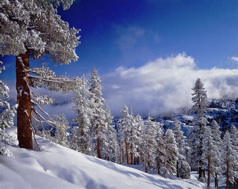 Winter In The High Sierra Mountains Photograph by Ron thomas - Fine Art ...